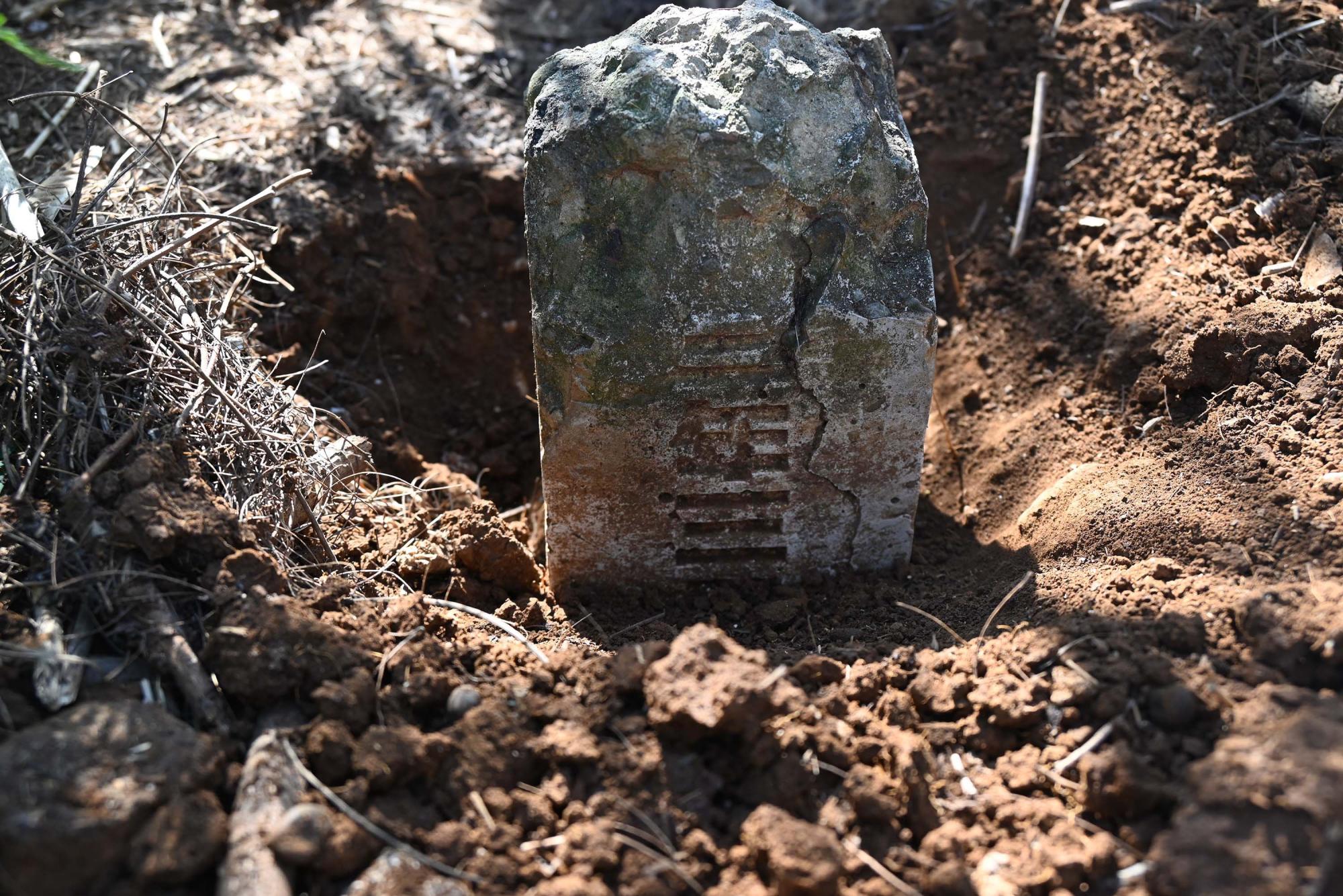 2024蛇頭山三角點陸補40記錄