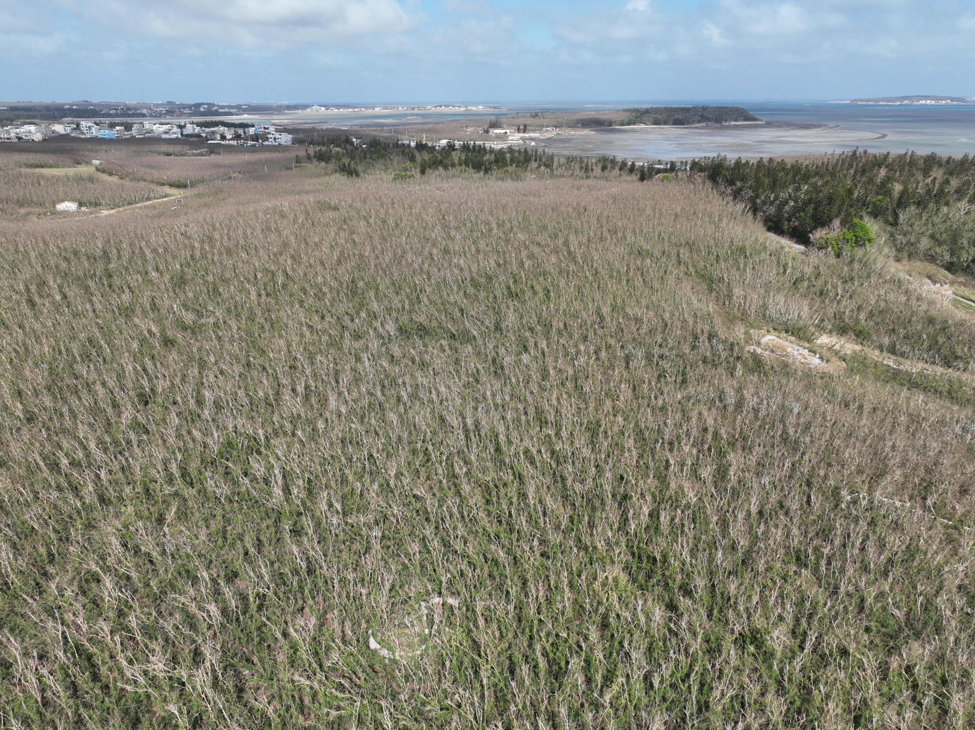 2024城前講美銀合歡記錄