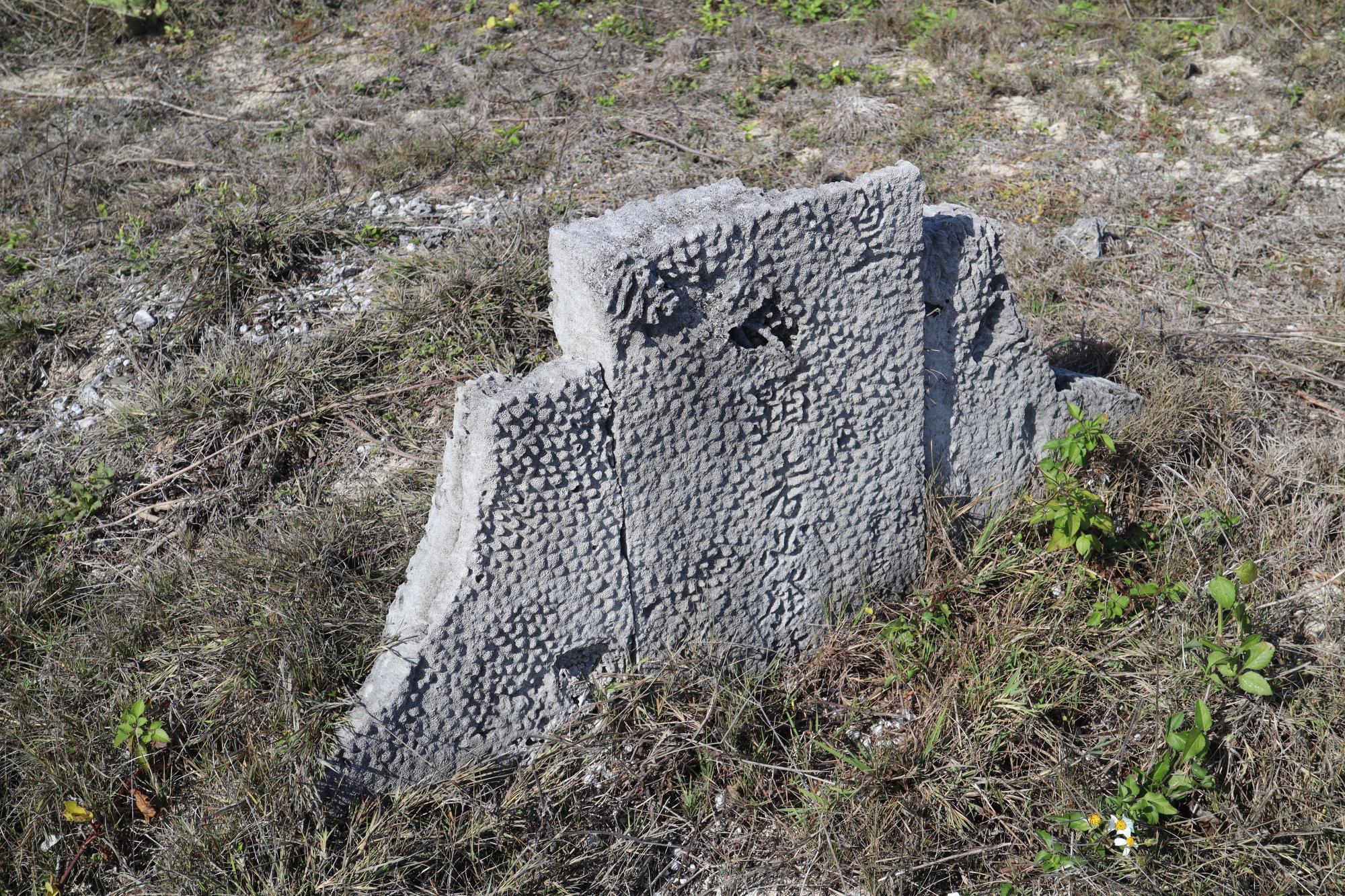 2025禁內墳墓記錄