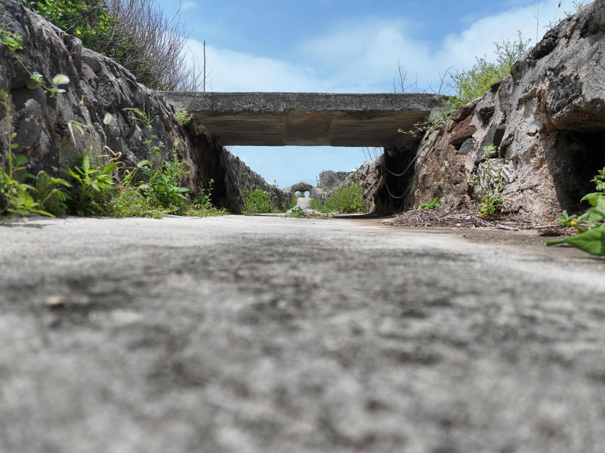 2025吉貝龍喉記錄