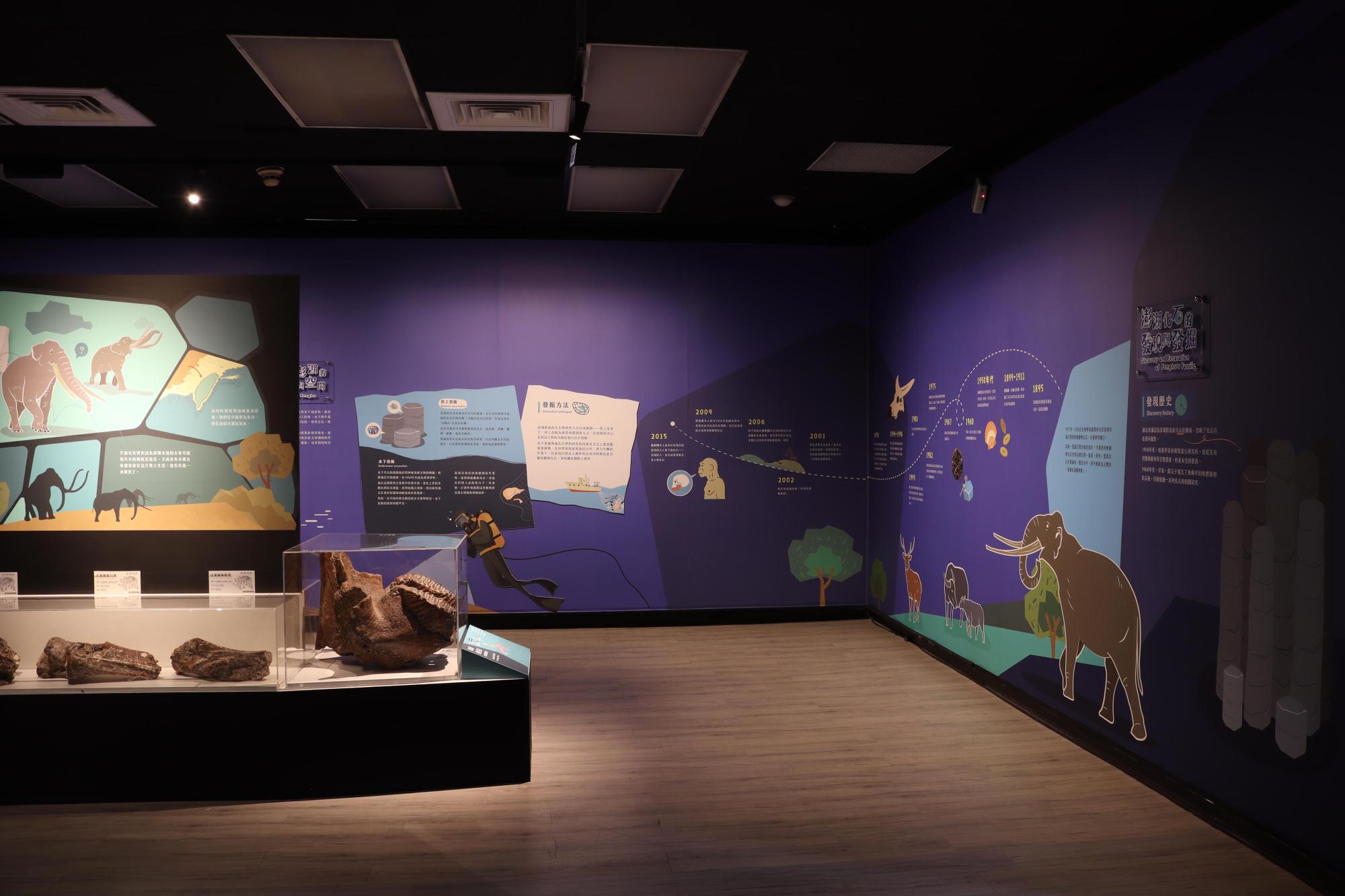 2025澎湖化石館記錄