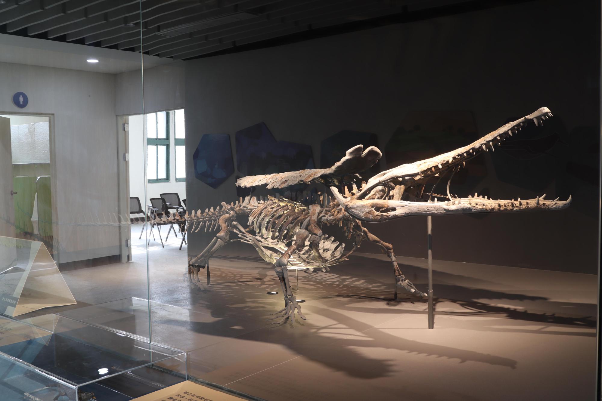 2025澎湖化石館記錄