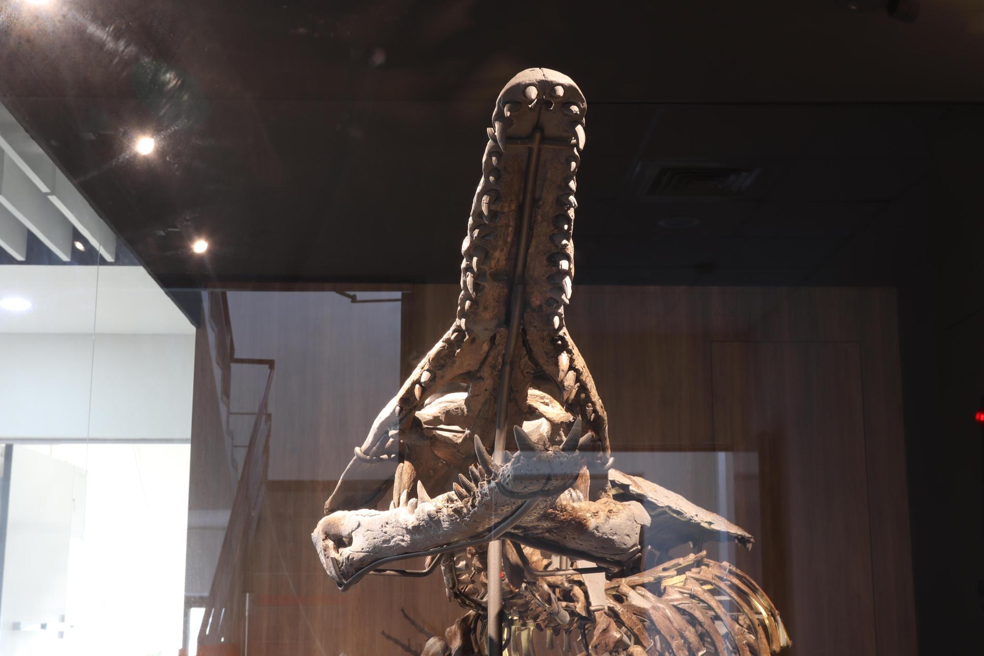 2025澎湖化石館記錄