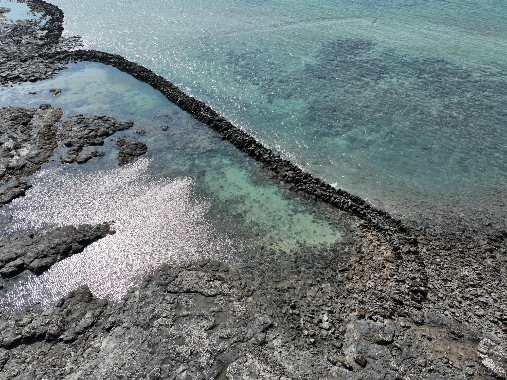 2024小池角石滬記錄