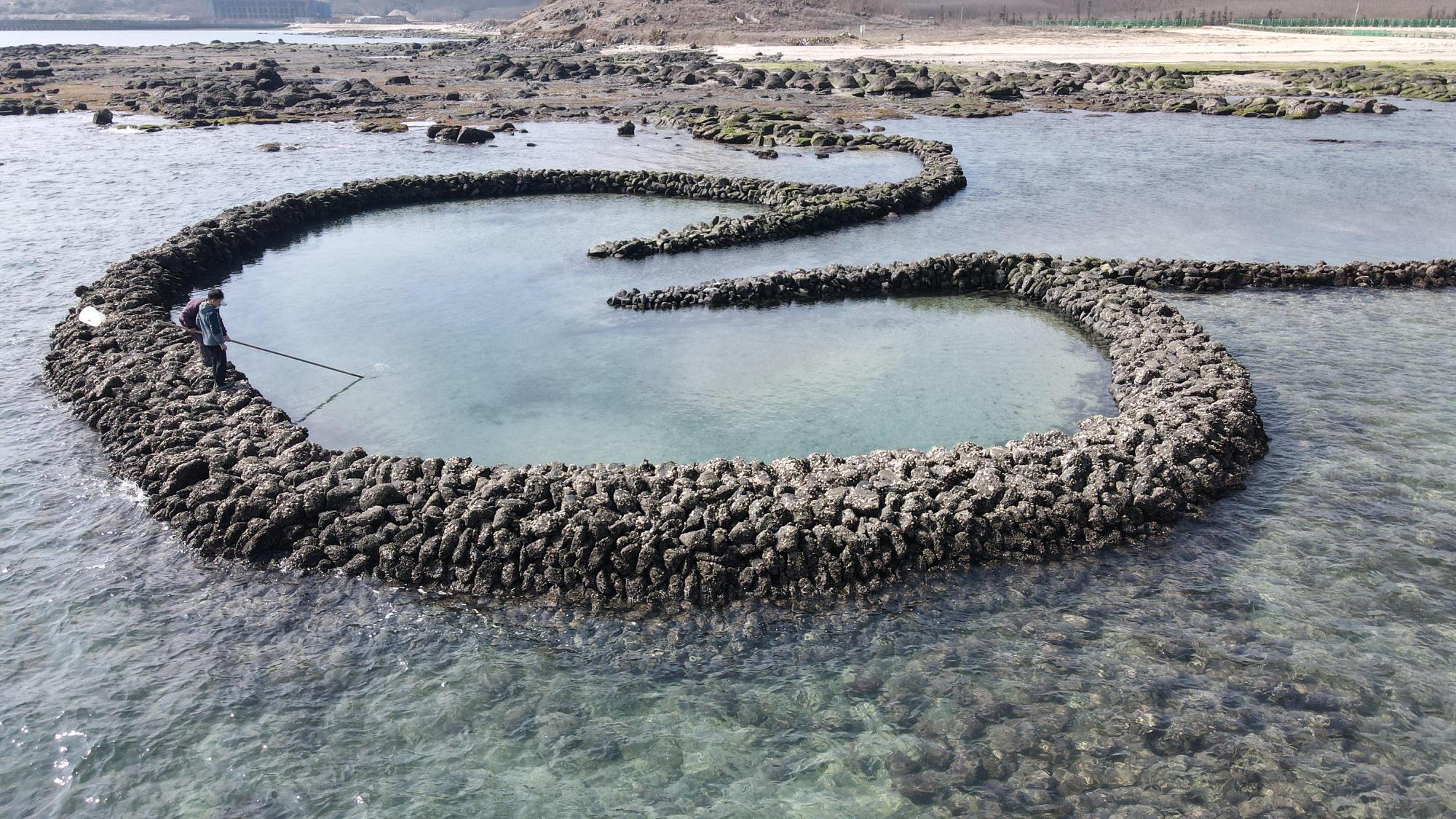 2021牛心灣內滬記錄