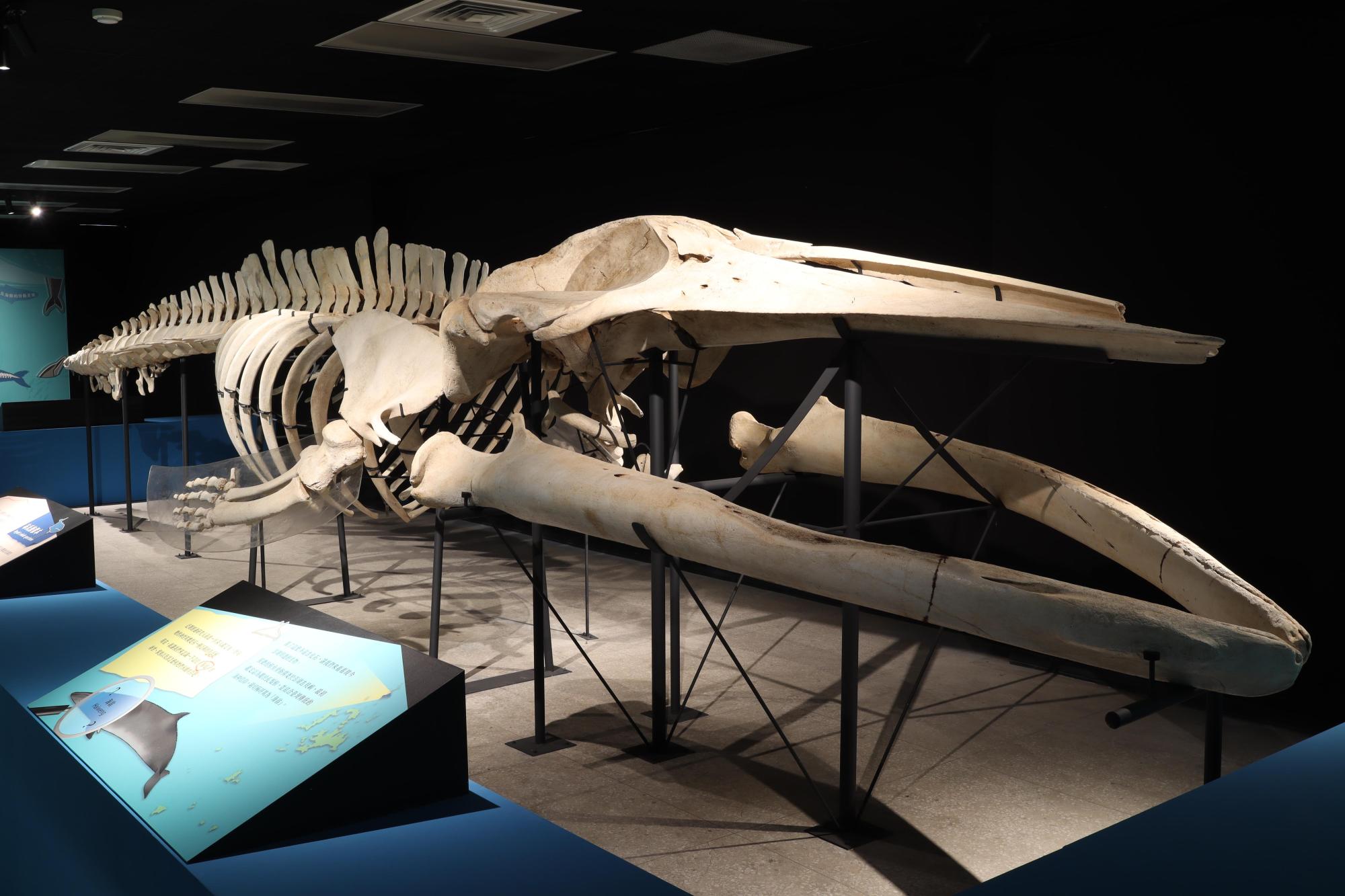 2025澎湖化石館記錄