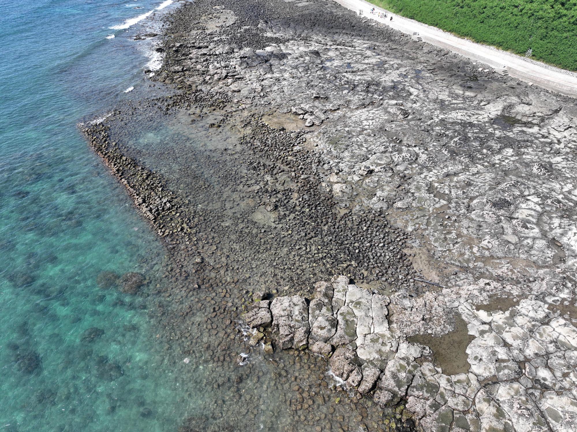 2024小池角石滬記錄