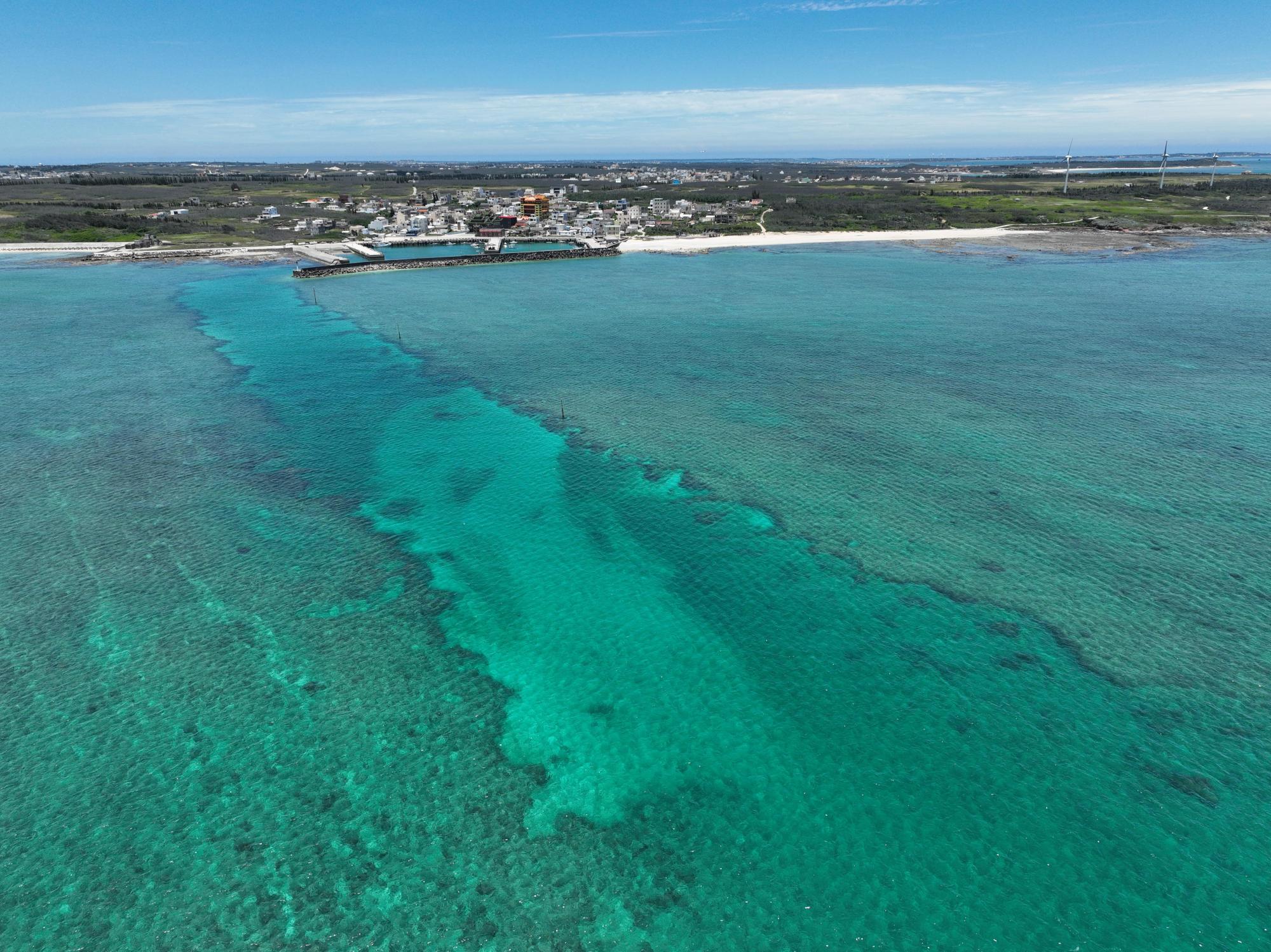2025菓葉漁港記錄