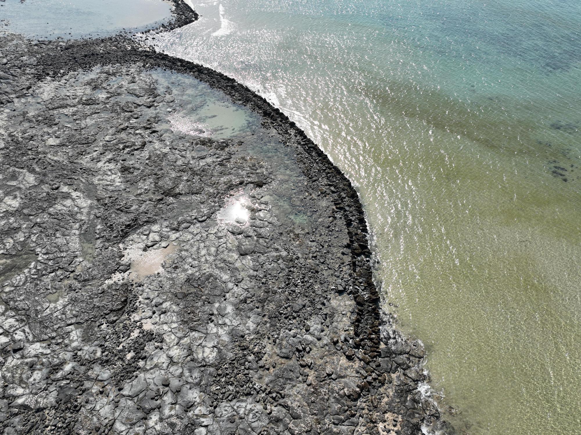 2024小池角石滬記錄