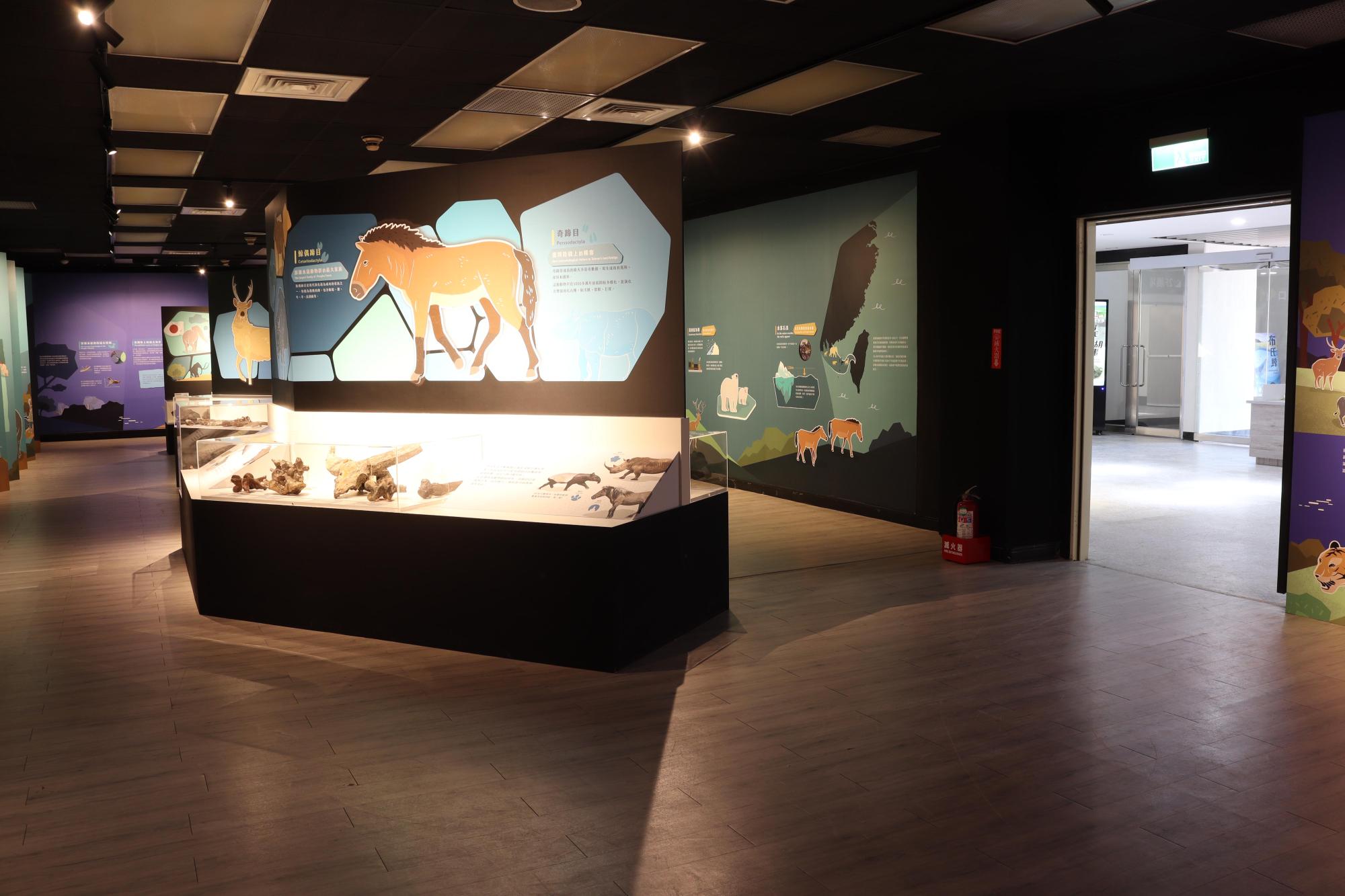 2025澎湖化石館記錄