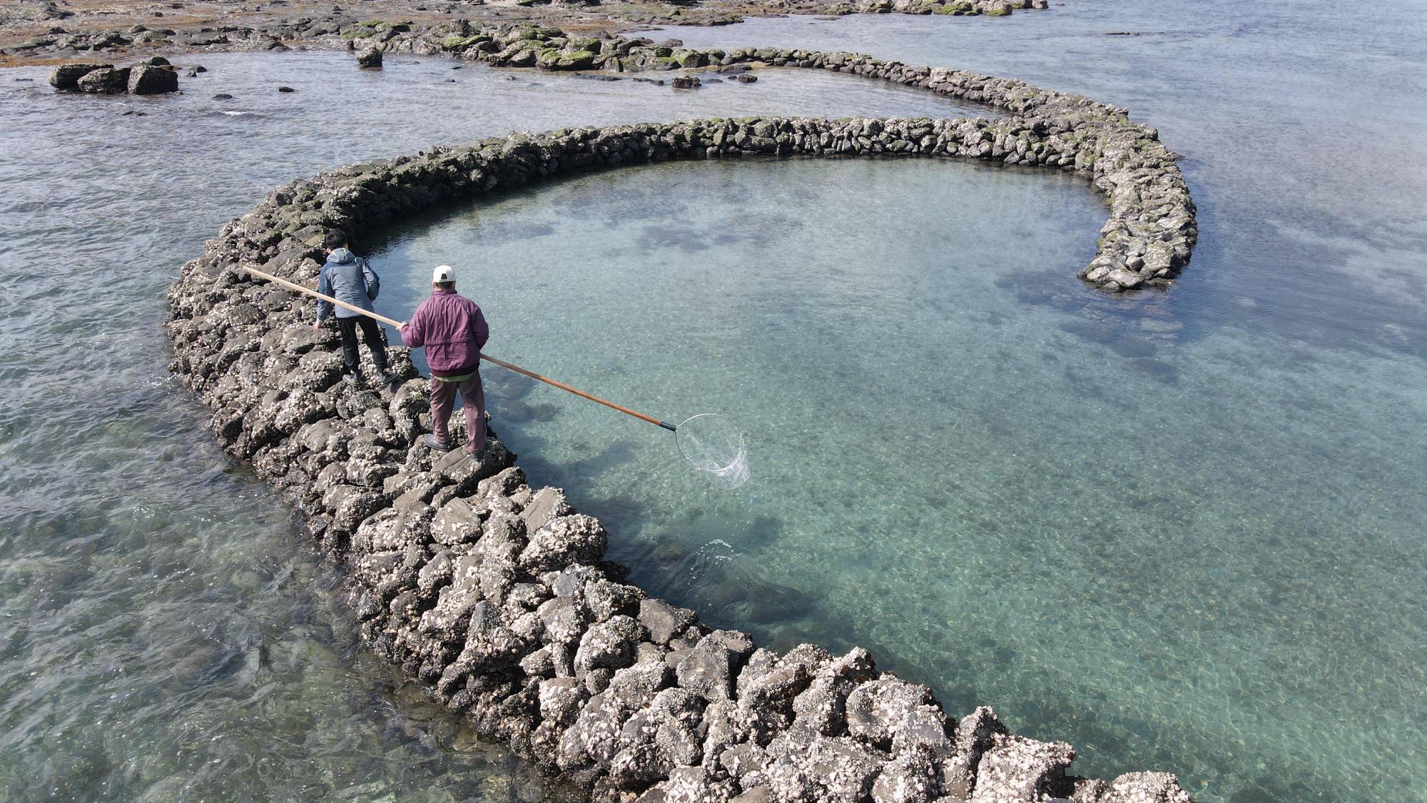 2021牛心灣內滬記錄