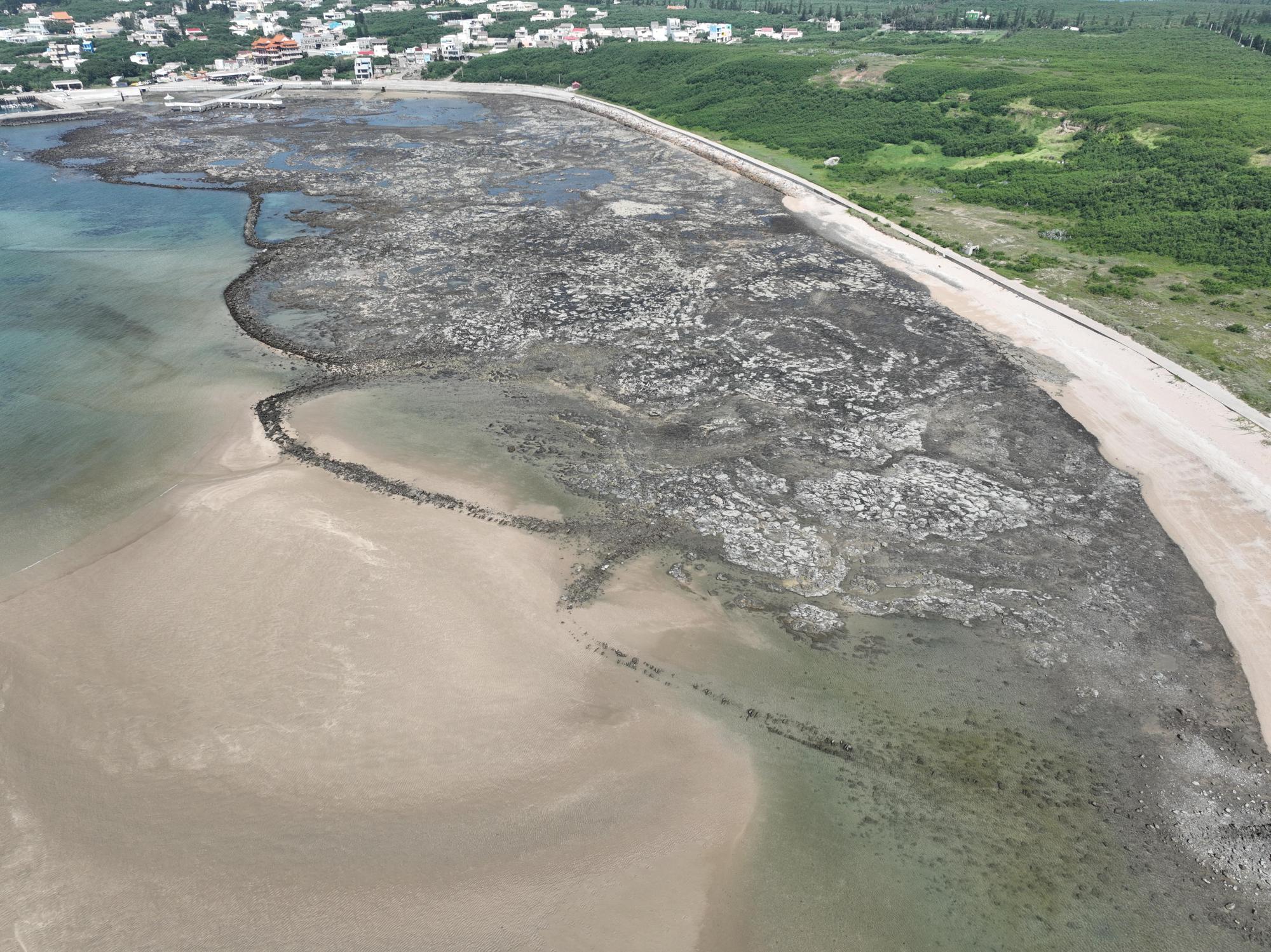 2024小池角石滬記錄
