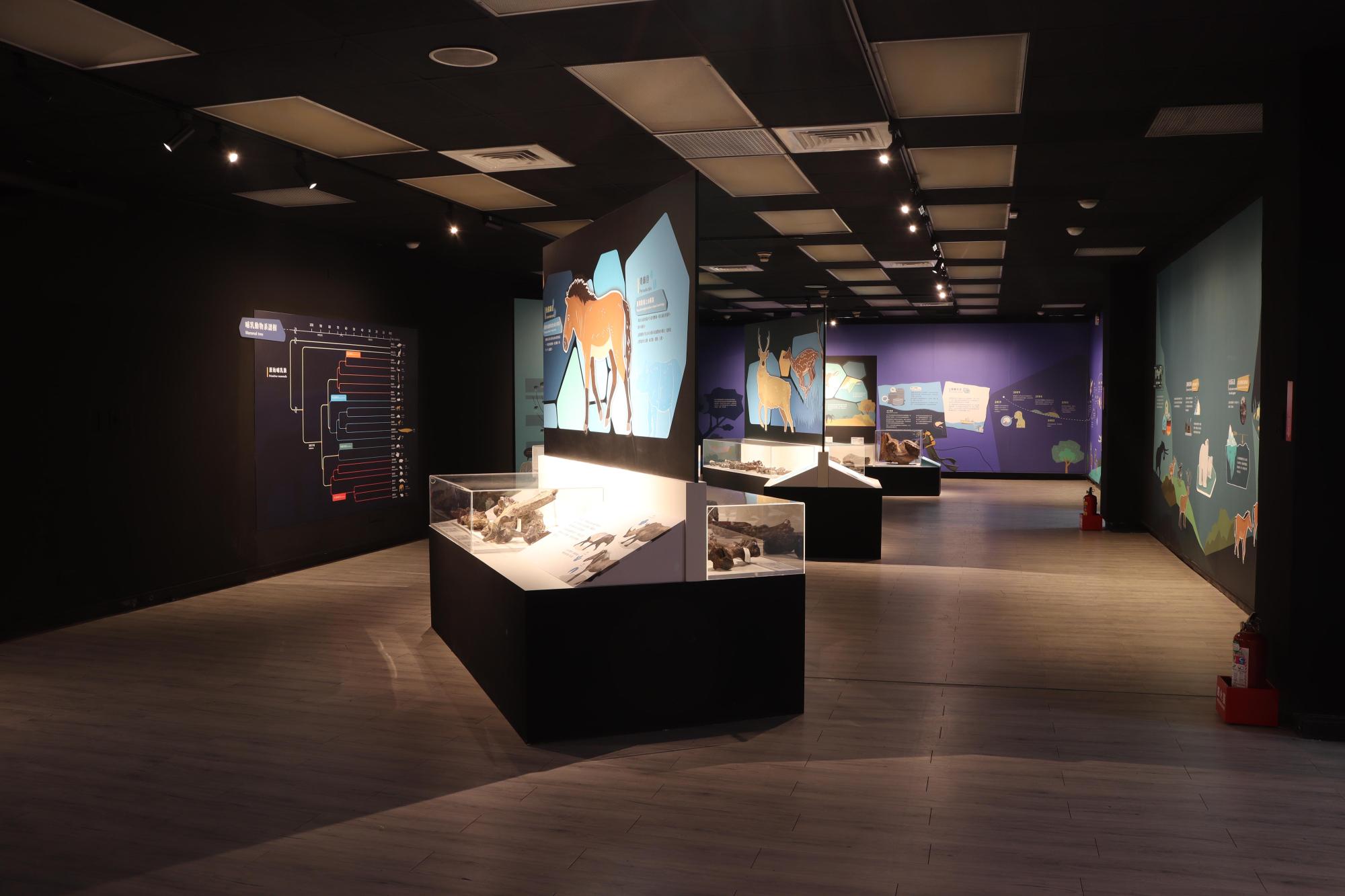 2025澎湖化石館記錄