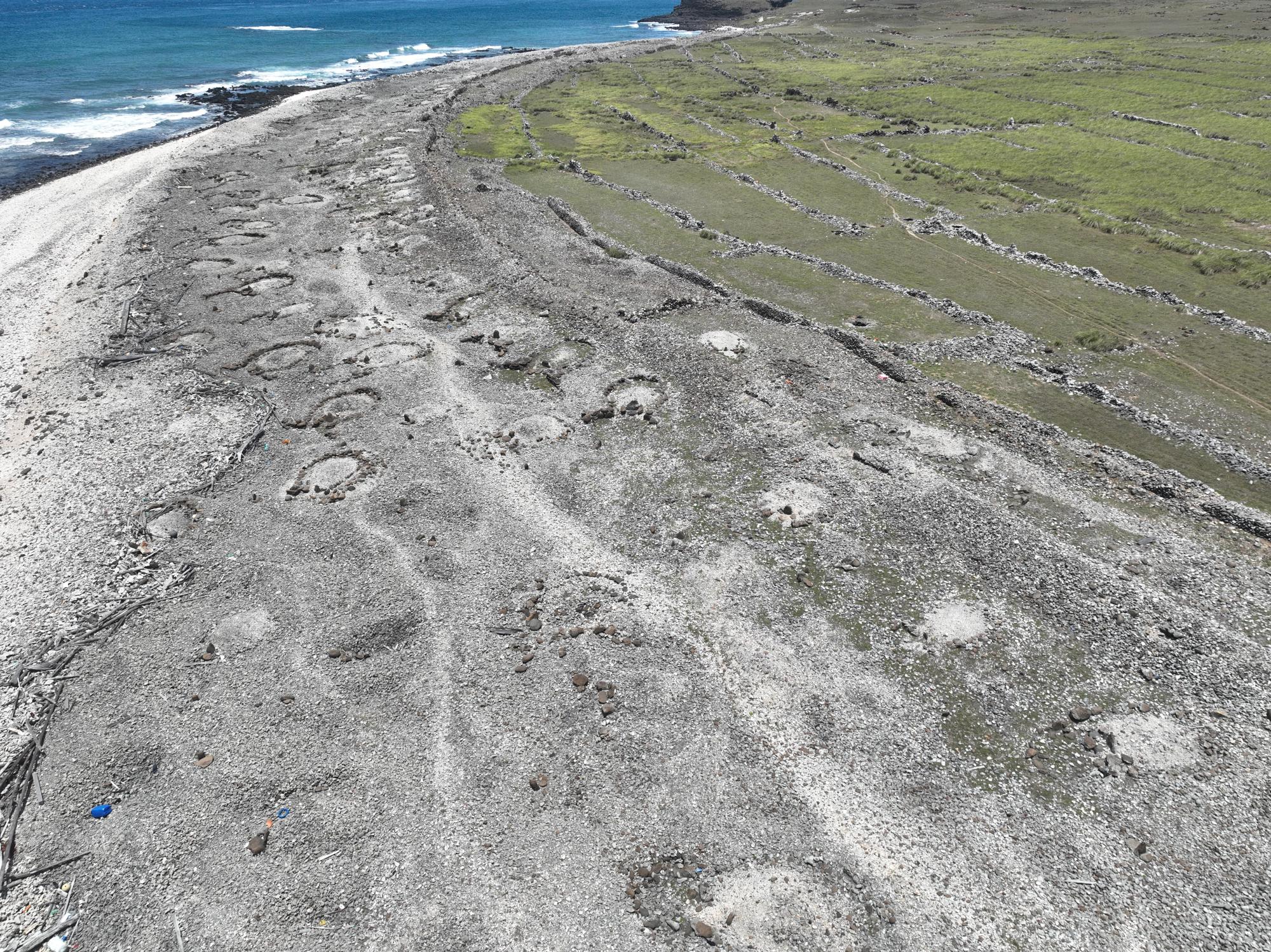 2025西吉墓葬記錄