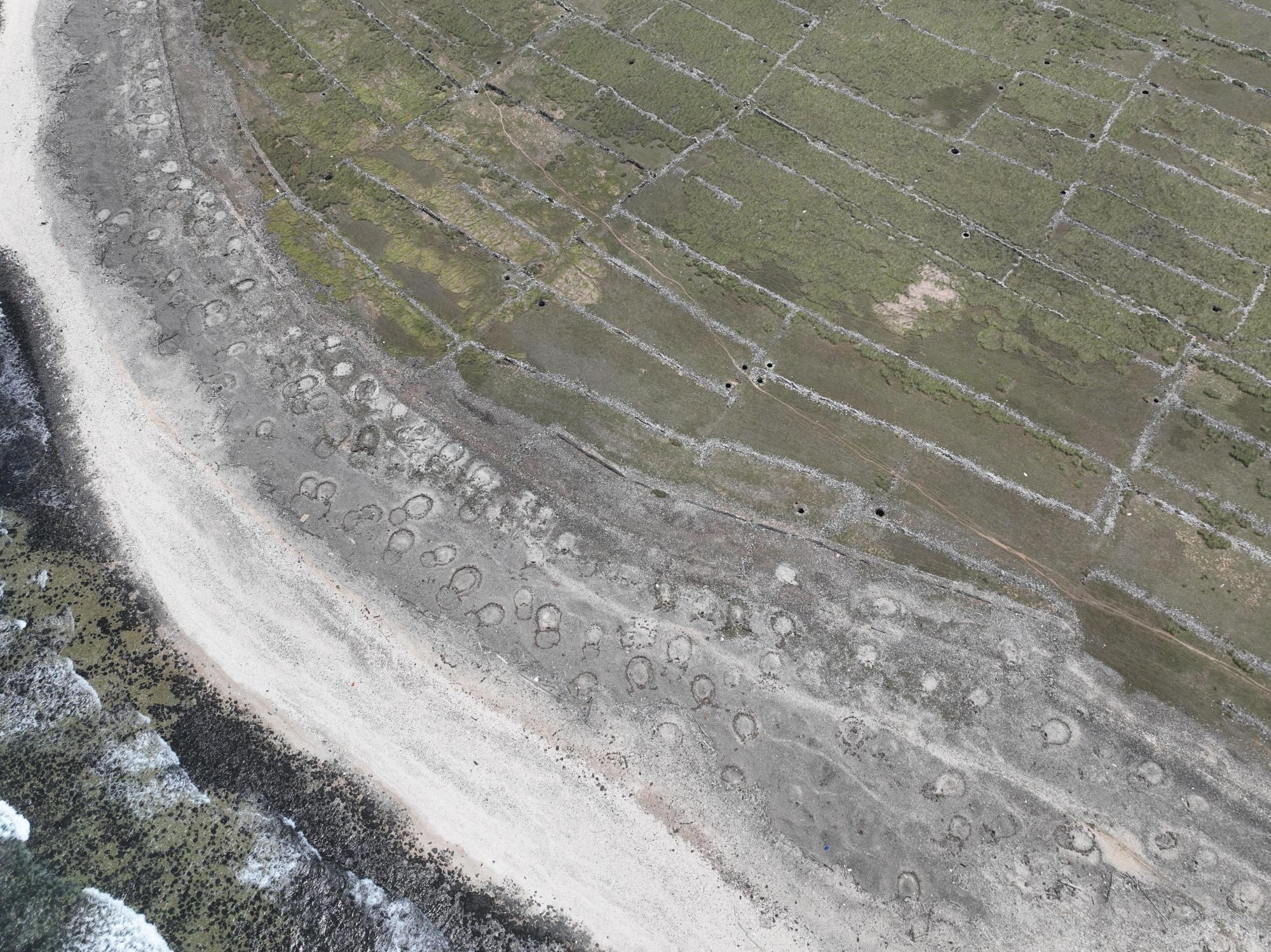 2025西吉墓葬記錄