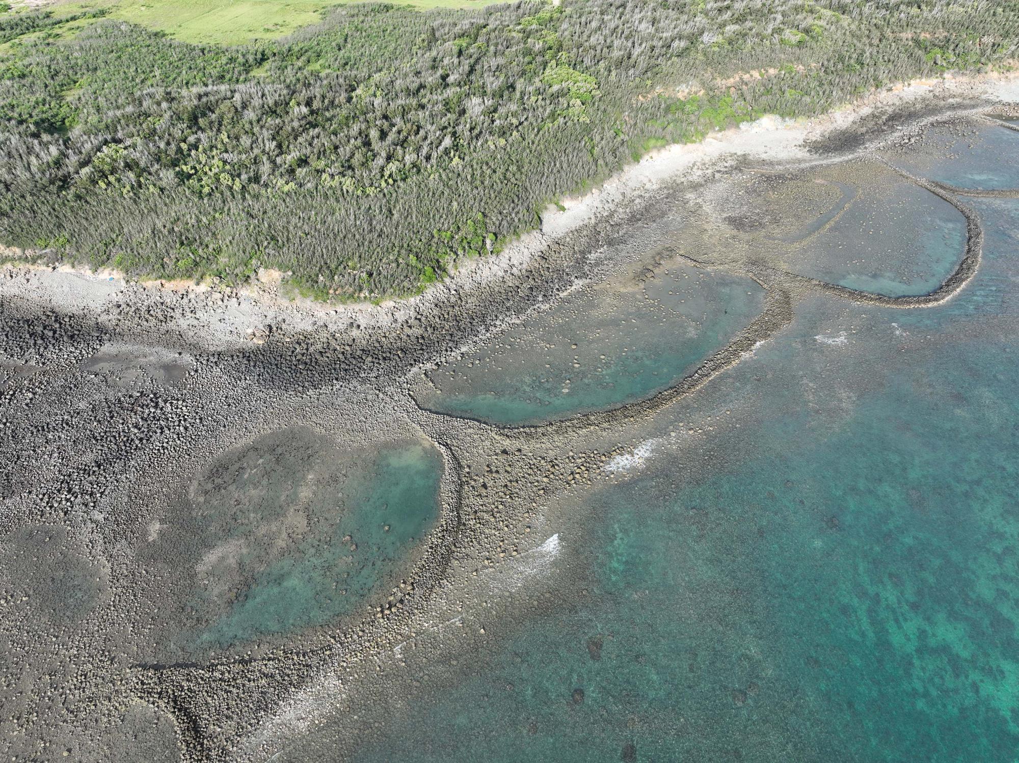 2025大池石滬記錄