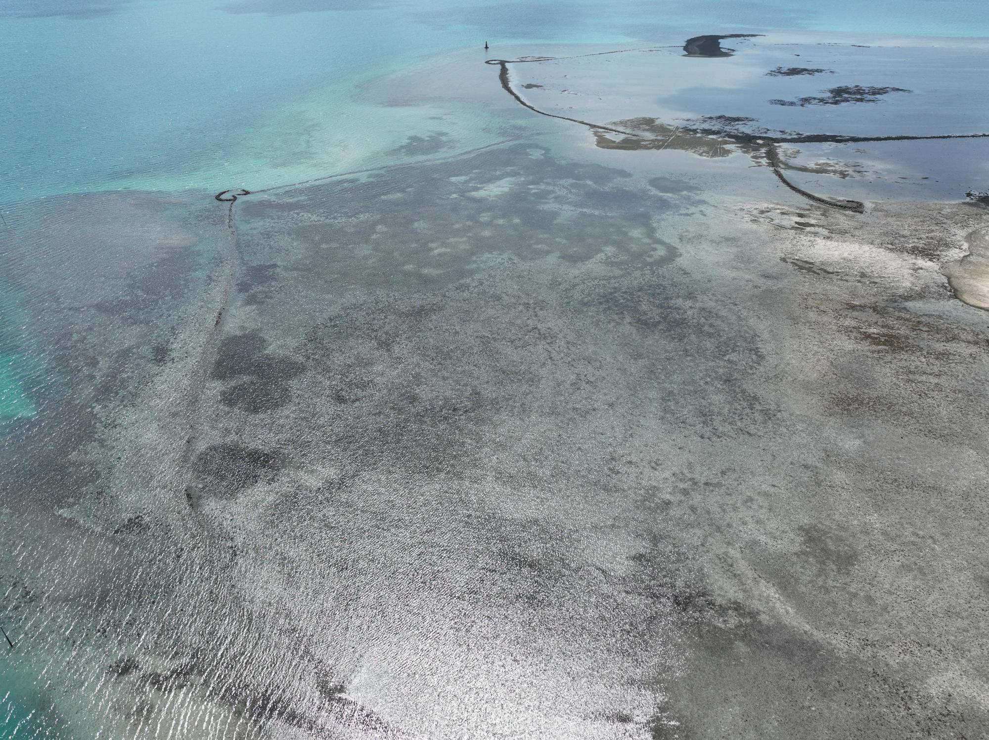 2025大倉石滬記錄