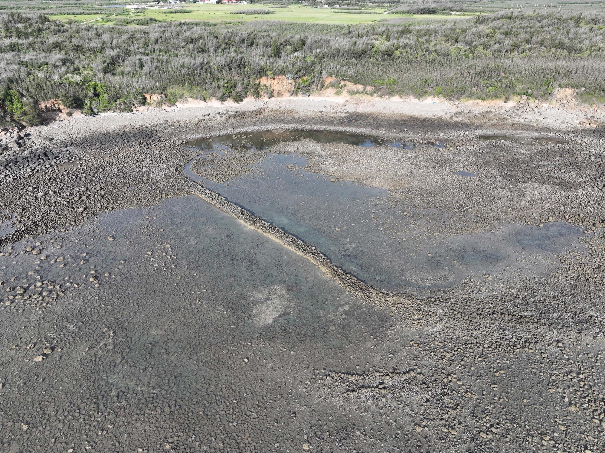 2025大池石滬記錄