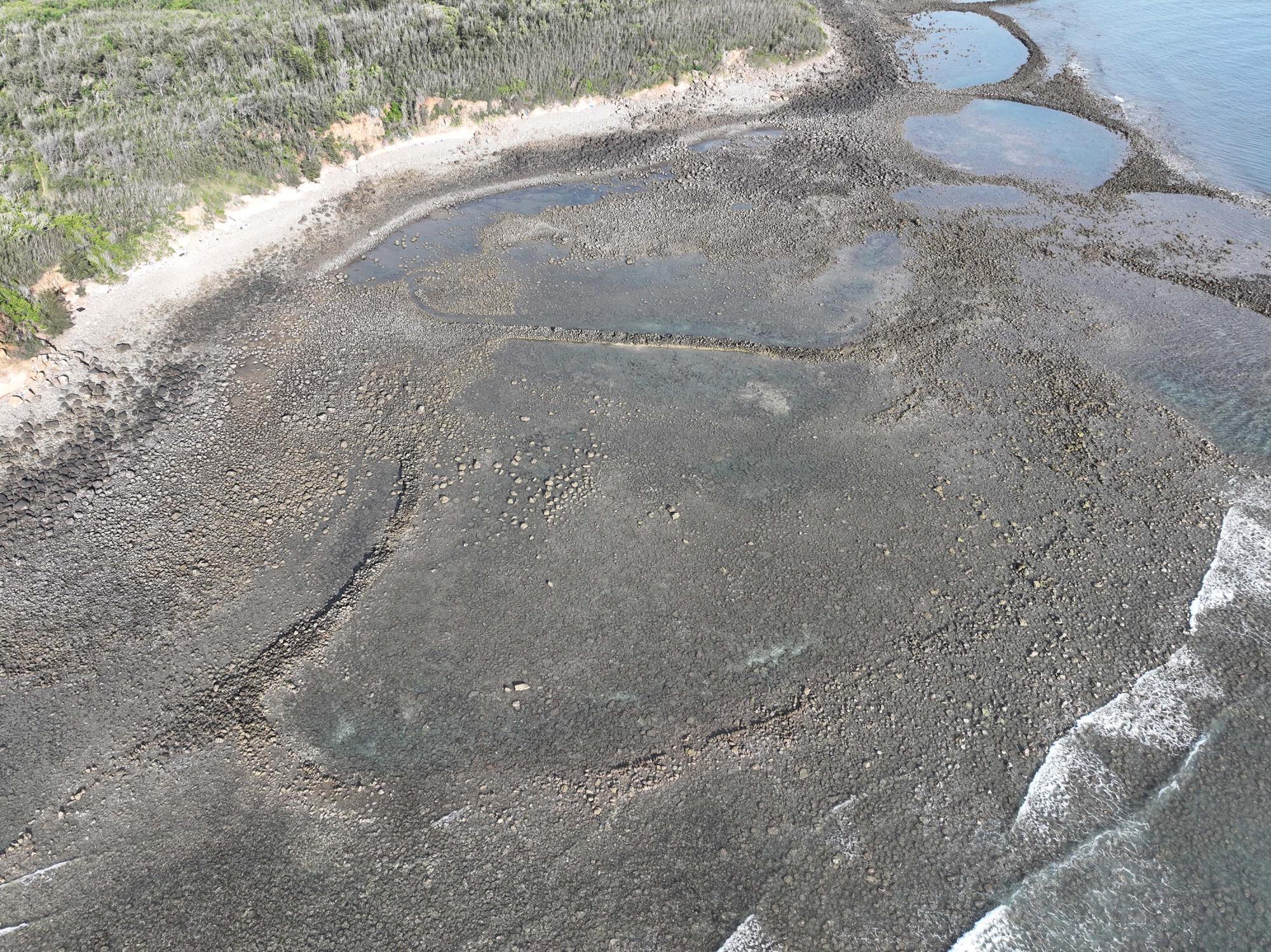 2025大池石滬記錄