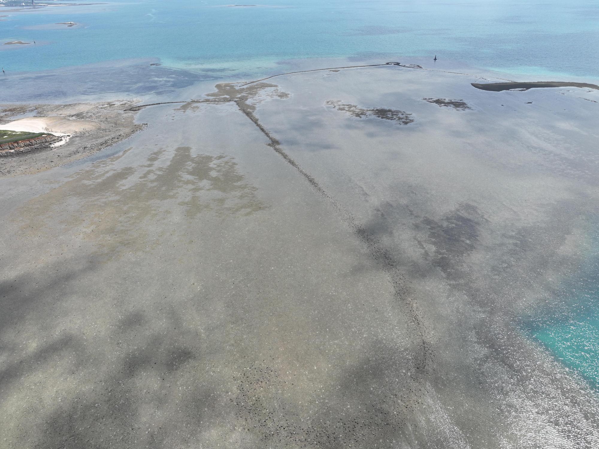 2025大倉石滬記錄