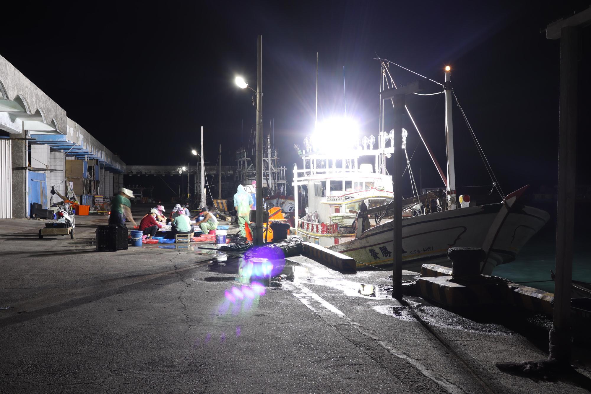 2025赤崁村丁香記錄