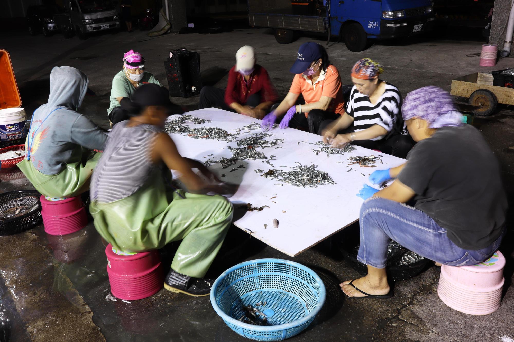 2025赤崁村丁香記錄