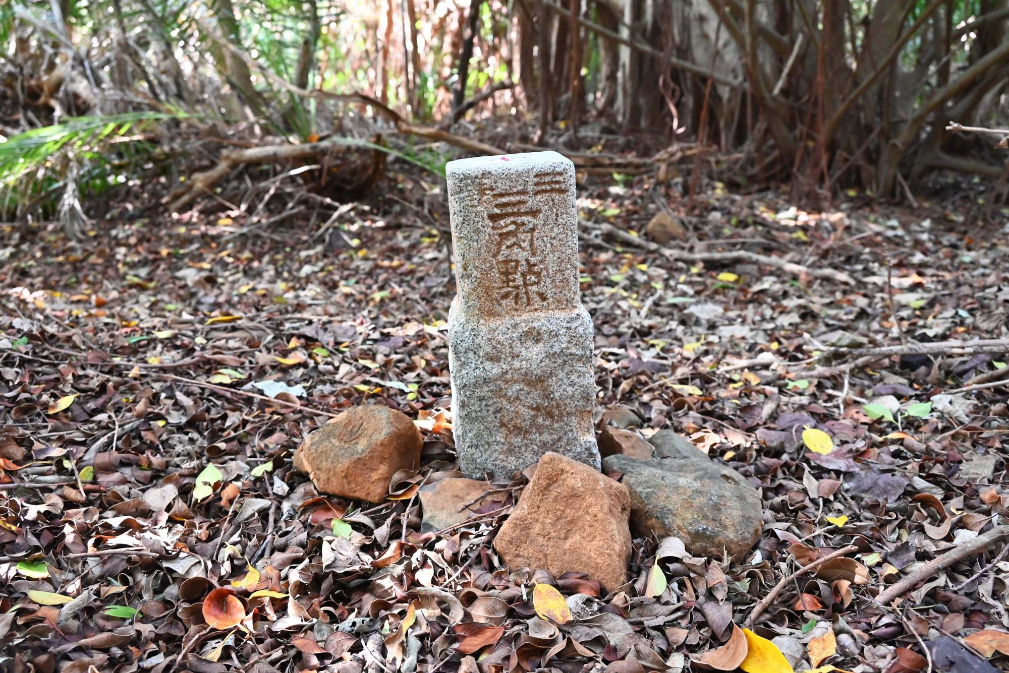 2025三等三角點記錄