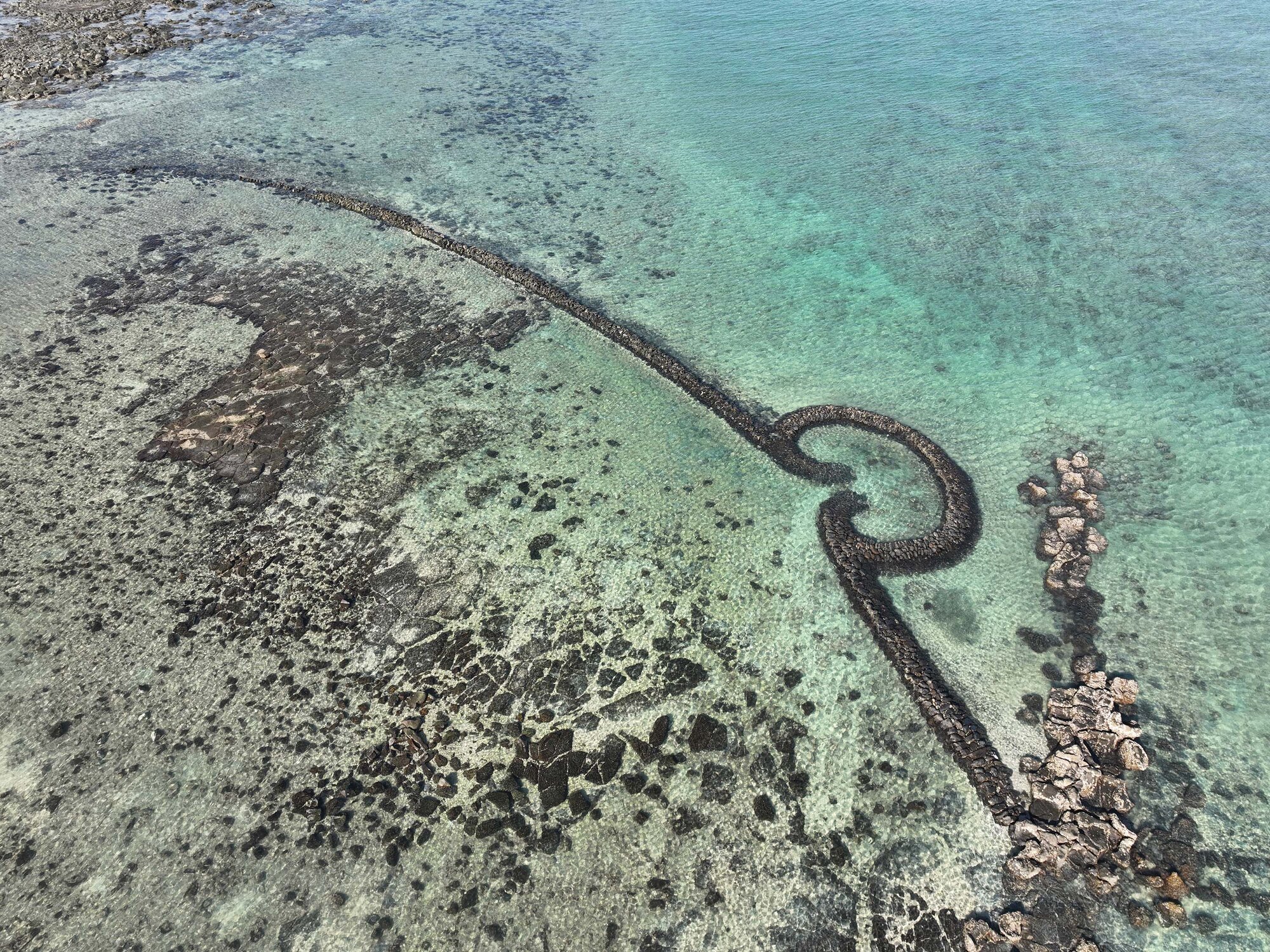 2025菓葉石滬記錄