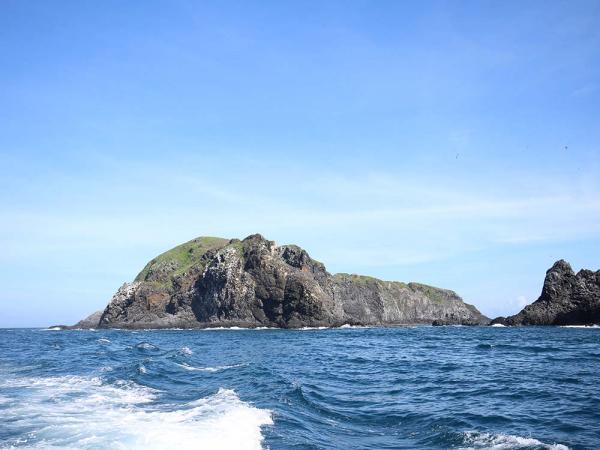 2017貓嶼海鳥保護區記錄