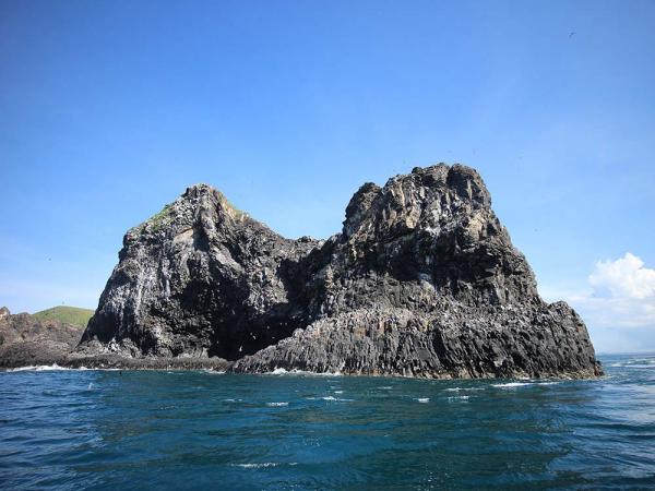 2017貓嶼海鳥保護區記錄