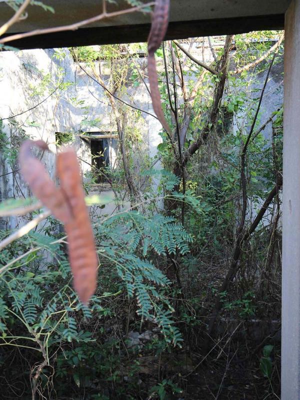 2018蕭氏古宅記錄