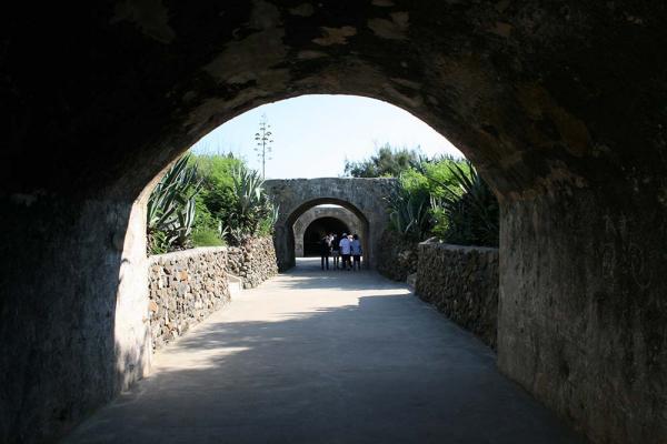 2019西嶼西臺記錄