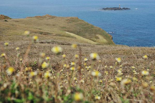 2017天台山塭記錄