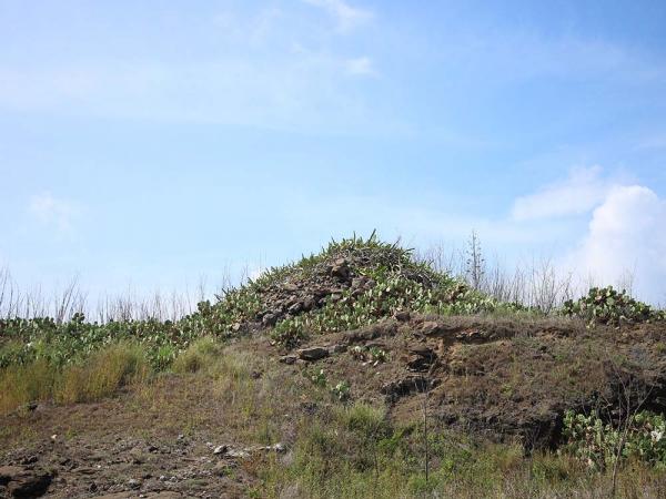 2018嵵裡里塔記錄