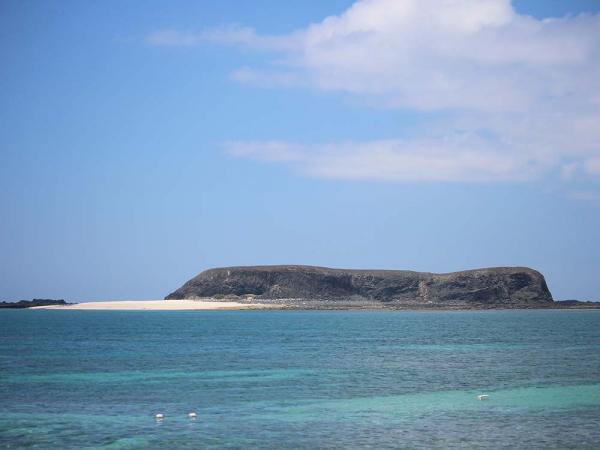 2018小白沙嶼記錄