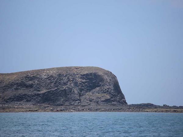 2018小白沙嶼記錄