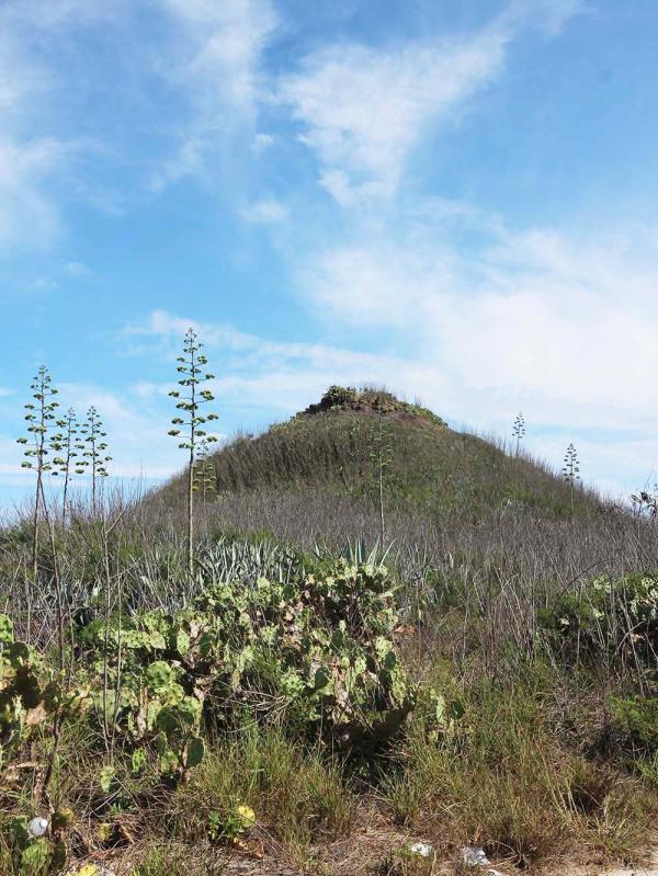 2018鴿籠（乳仔尖山）記錄