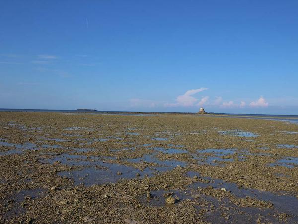 2018白坑村黑礁記錄