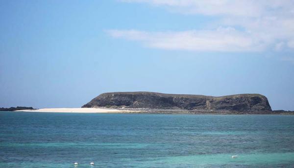 2018小白沙嶼記錄