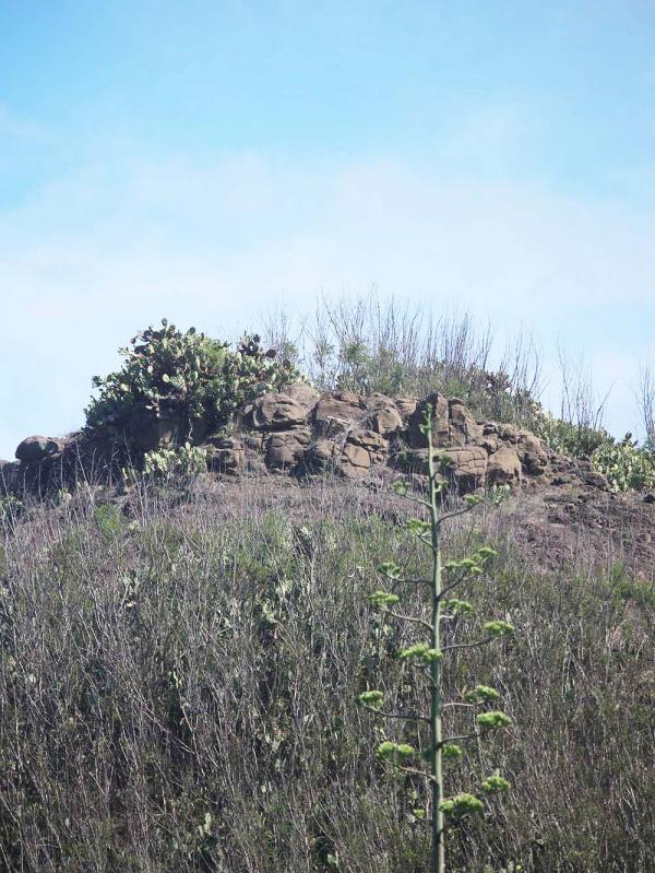 2018鴿籠（乳仔尖山）記錄