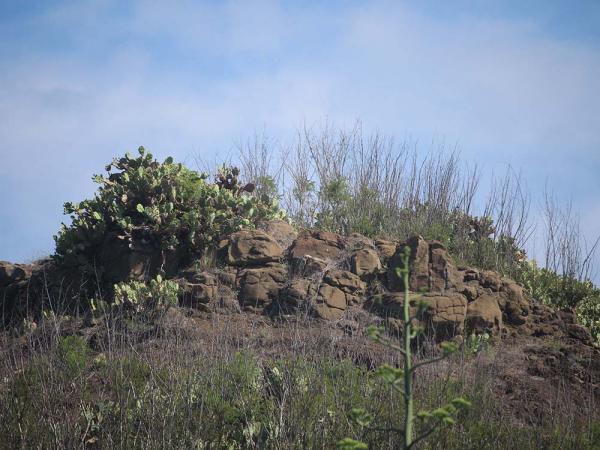 2018鴿籠（乳仔尖山）記錄