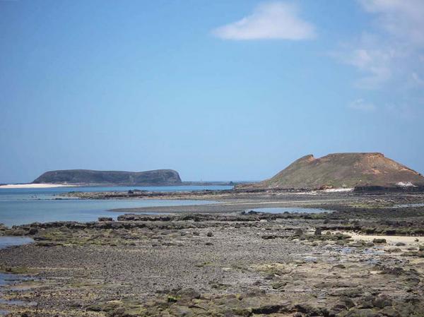 2018小白沙嶼記錄