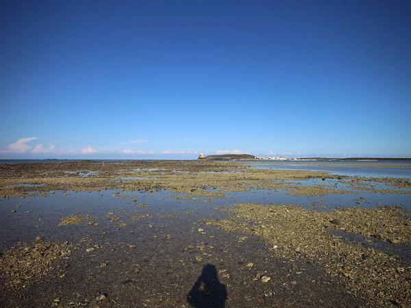 2018白坑村黑礁記錄