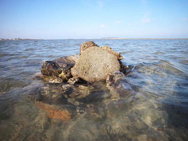 2018澎湖抱墩記錄