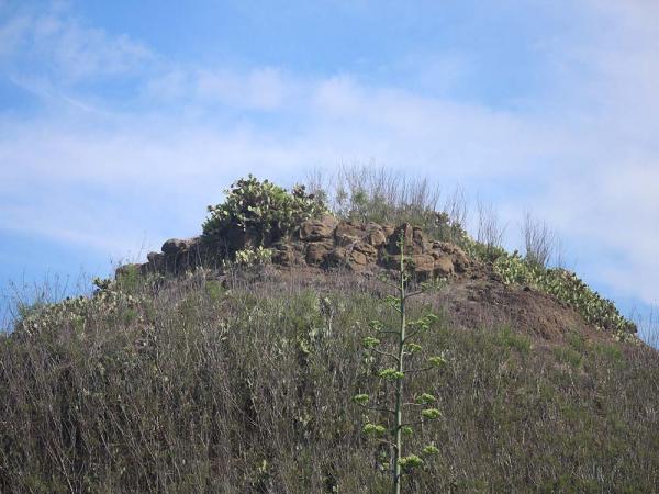 2018鴿籠（乳仔尖山）記錄