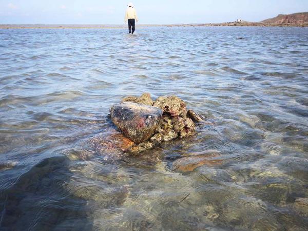 2018澎湖抱墩記錄