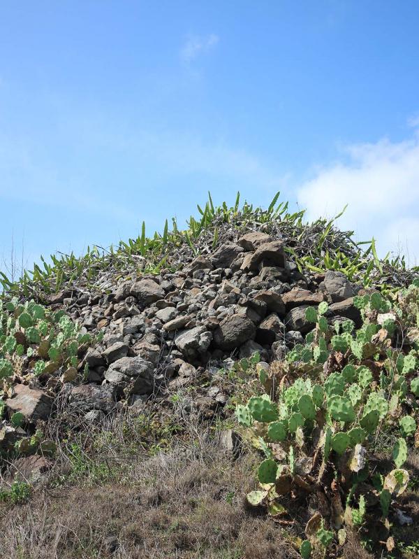 2018嵵裡里塔記錄