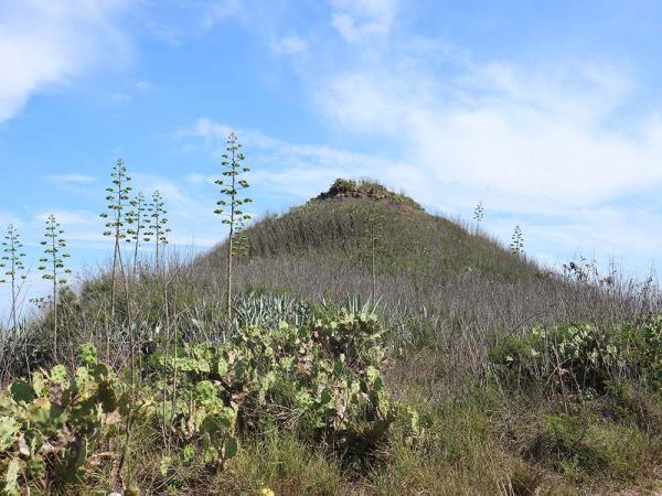 2018鴿籠（乳仔尖山）記錄