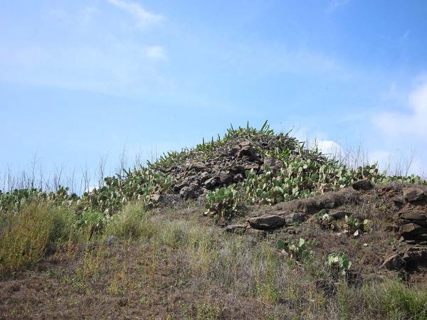 2018嵵裡里塔記錄