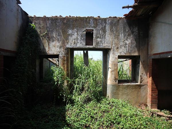 姚氏四櫸頭三合院（網垵口）